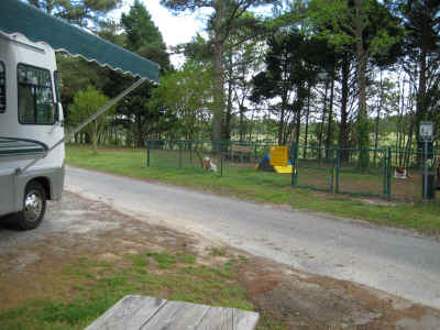 Zak loved the doggie park!