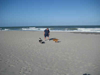Gary and the dogs at Cocoa Beach.