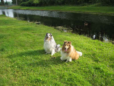 Zak & Zo like Fort Wilderness - it's their favourite campground!