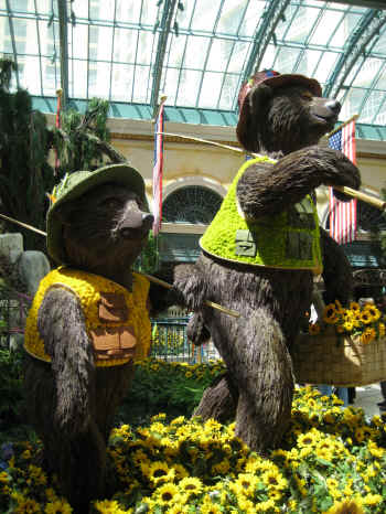 Bears in  the Conservatory