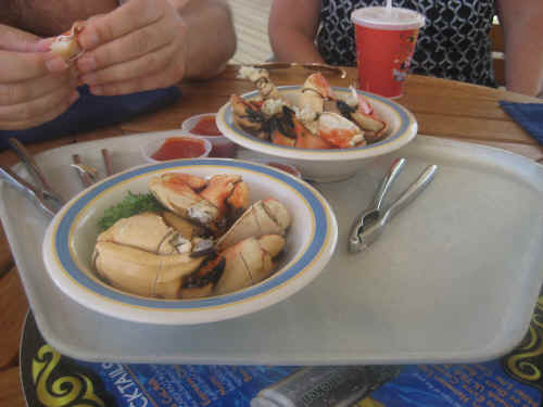 The crab claws
