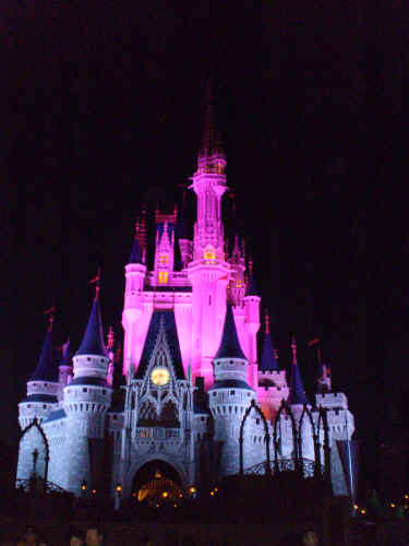 I love the way they light the castle!