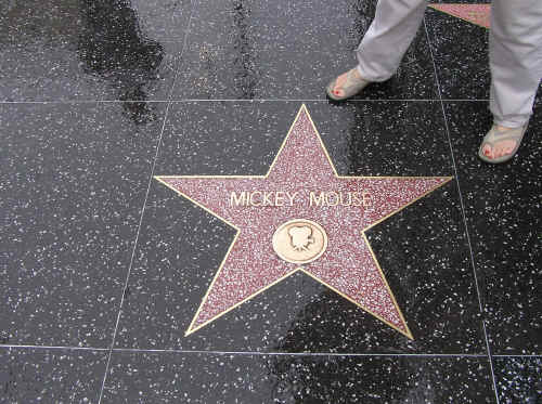 Mickey's star!