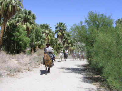 A trail ride in the Andreas Canyon