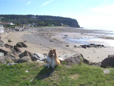 Zak on the beach at St. Stephen, NB