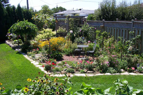 My perennial garden