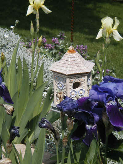 Irises and birdhouse