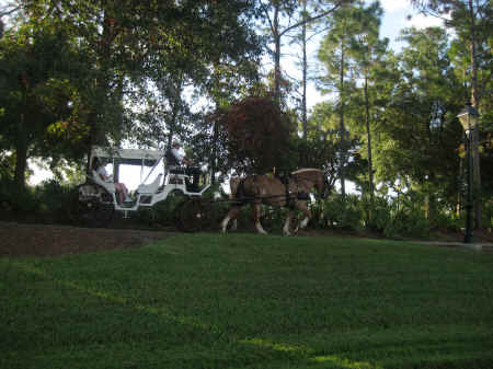 A horse-drawn carriage at Port Orleans